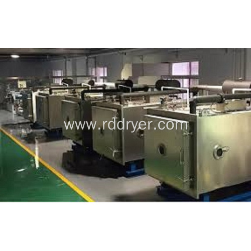 Strawberry Paste Vacuum Puffing&drying Machine